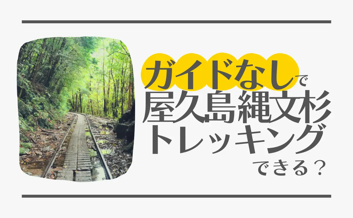 ガイドなしで屋久島縄文杉トレッキングできる？