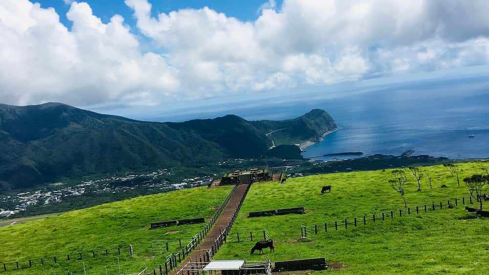 八丈富士ふれあい牧場