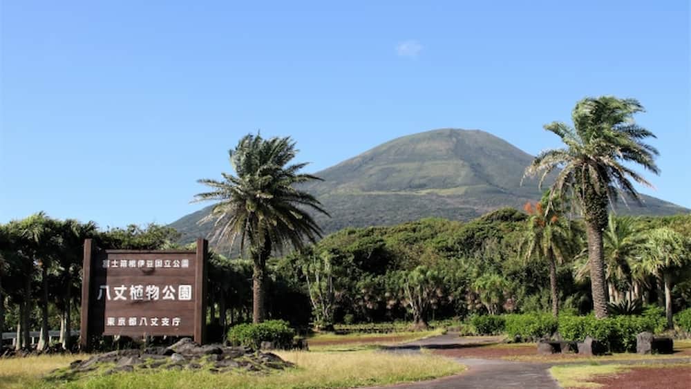 都立八丈植物公園