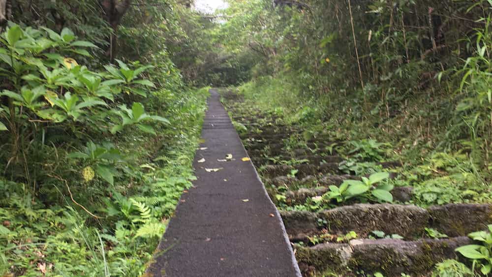八丈富士登山口からの階段。これが1280段あります。